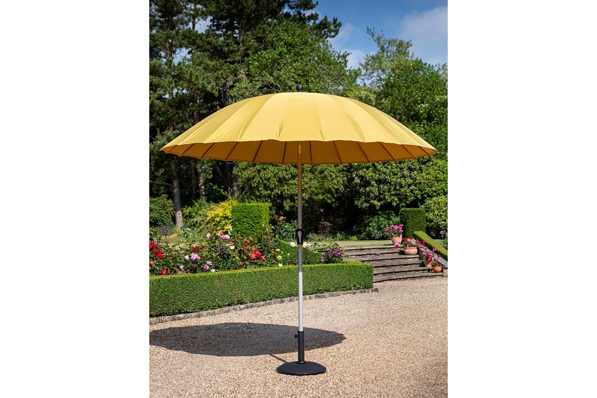 Shanghai Parasol 